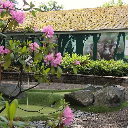 Regiohotel Germania Am Kurpark Bad Harzburg Eksteriør bilde