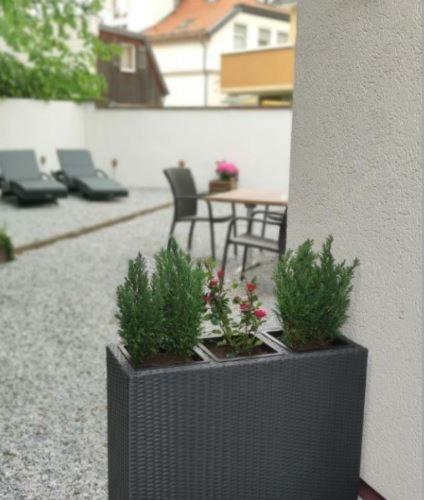 Regiohotel Germania Am Kurpark Bad Harzburg Eksteriør bilde