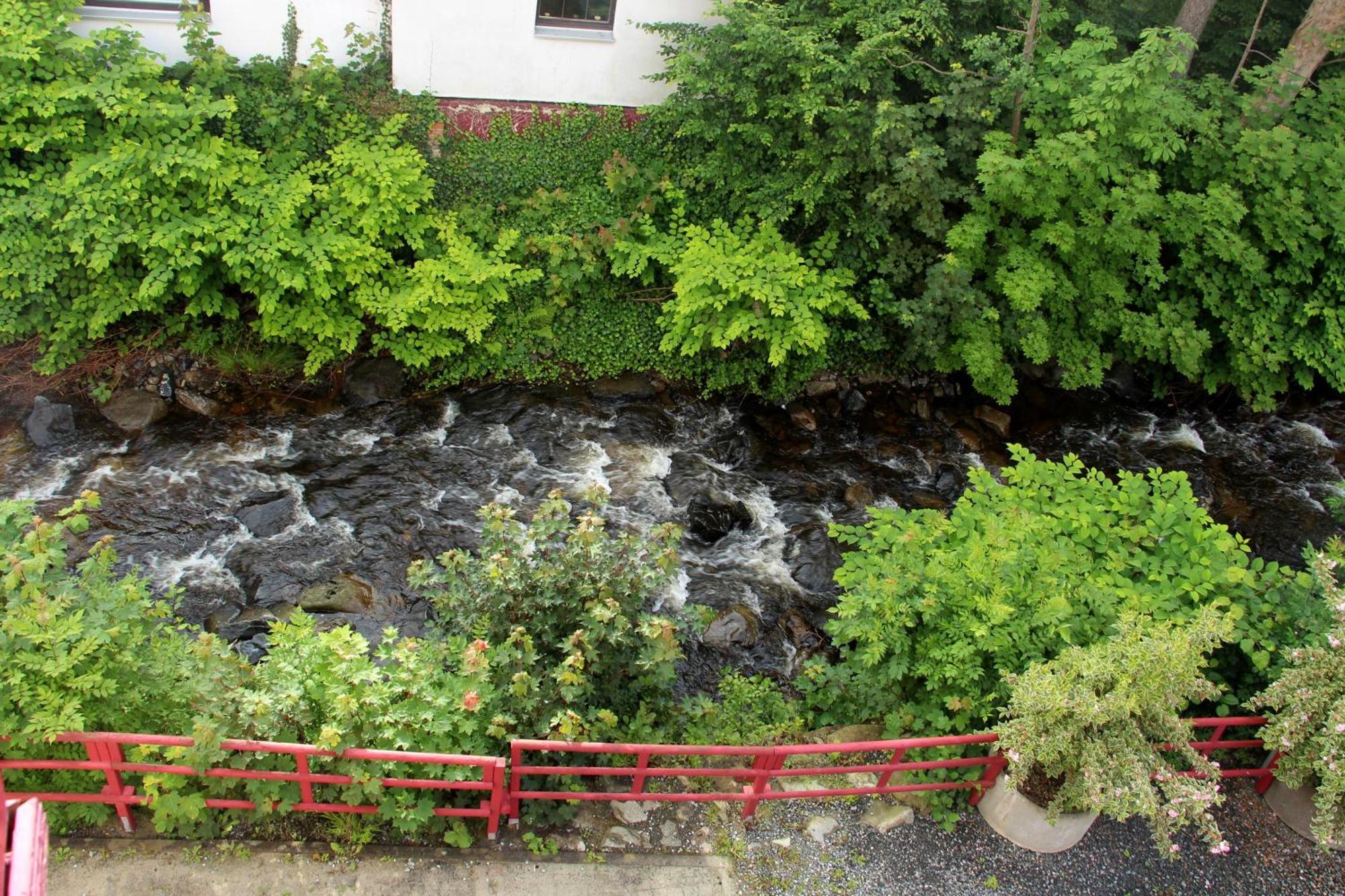 Regiohotel Germania Am Kurpark Bad Harzburg Eksteriør bilde