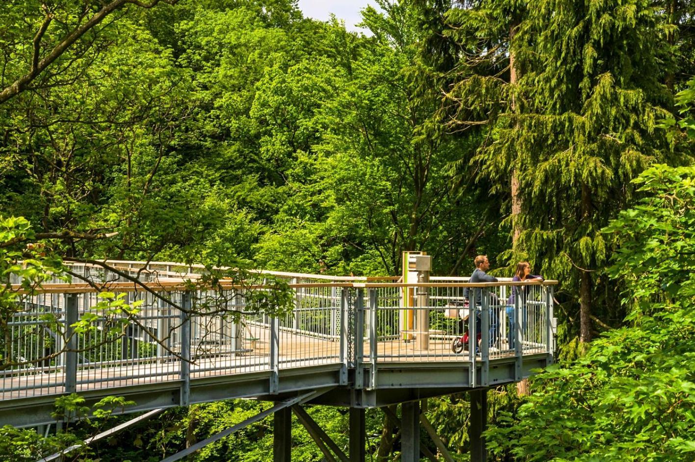 Regiohotel Germania Am Kurpark Bad Harzburg Eksteriør bilde